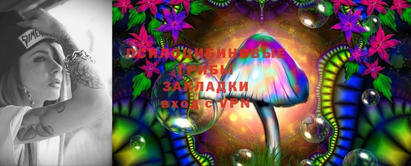 mdpv Каменск-Шахтинский