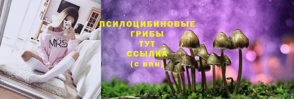 бутират Каменногорск